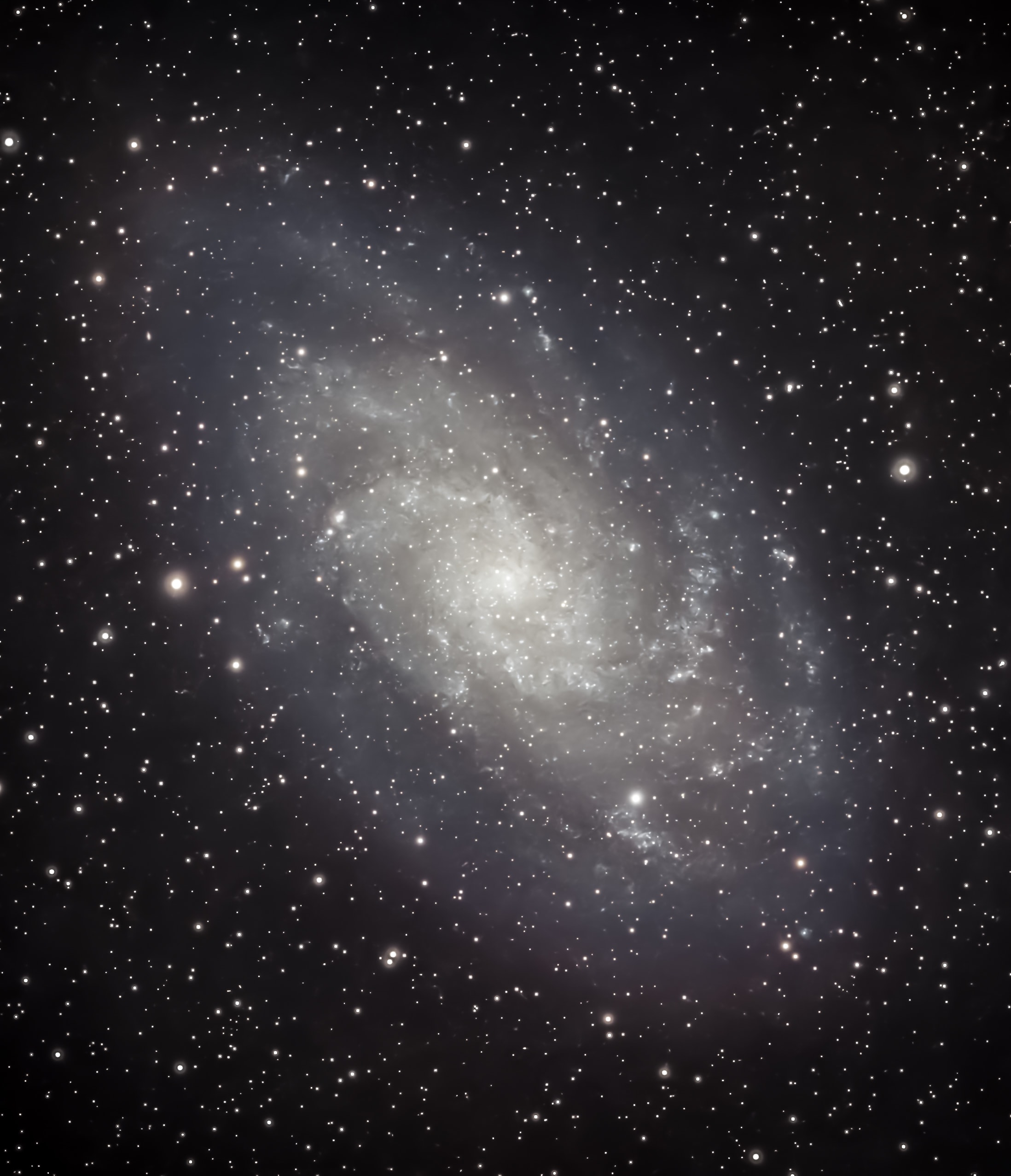 Triangulum Galaxy (M33) - Astrophotography by Maple Valley Observatory