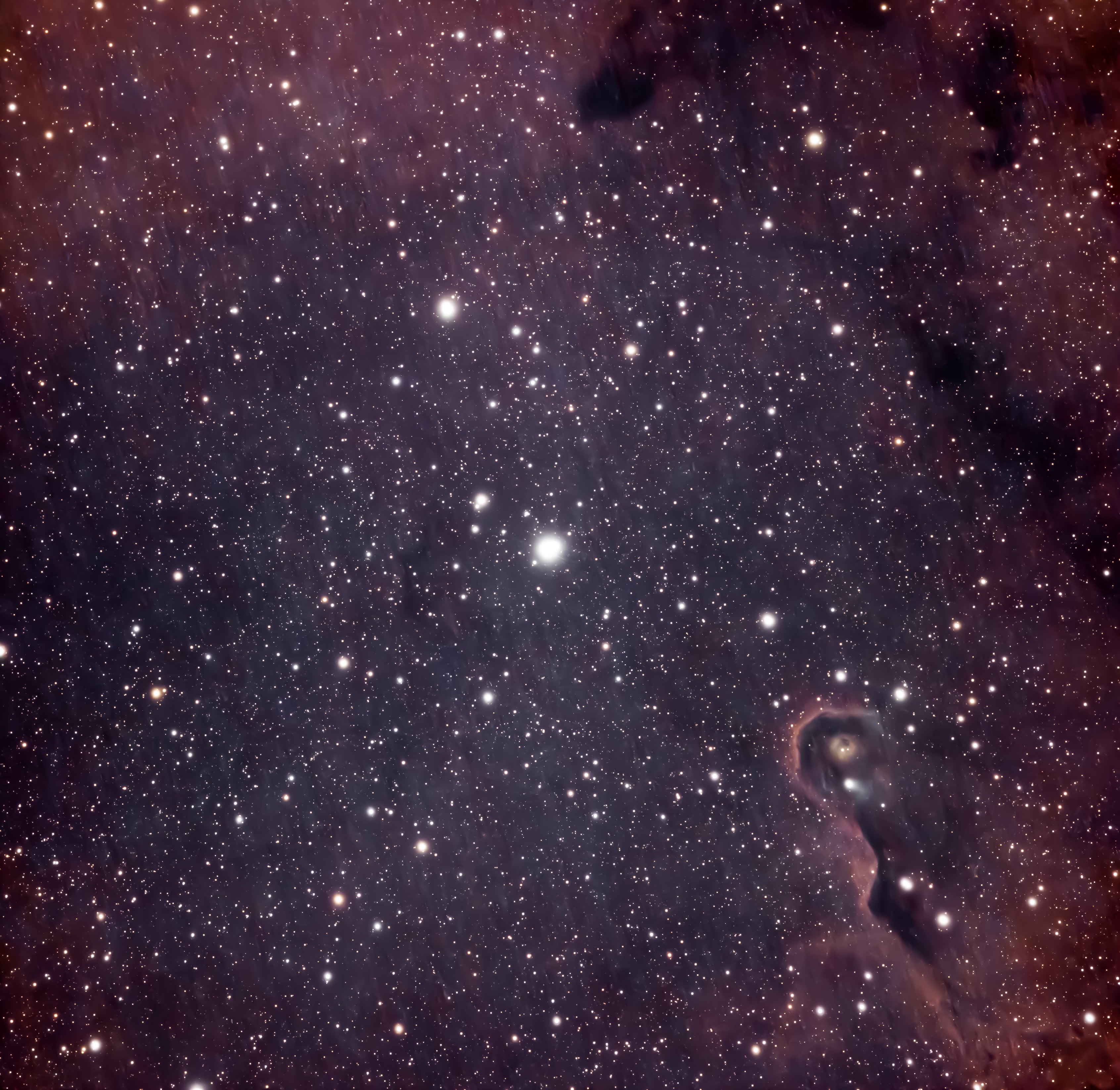 Elephant's Trunk Nebula (IC1396) - Astrophotography by Maple Valley Observatory