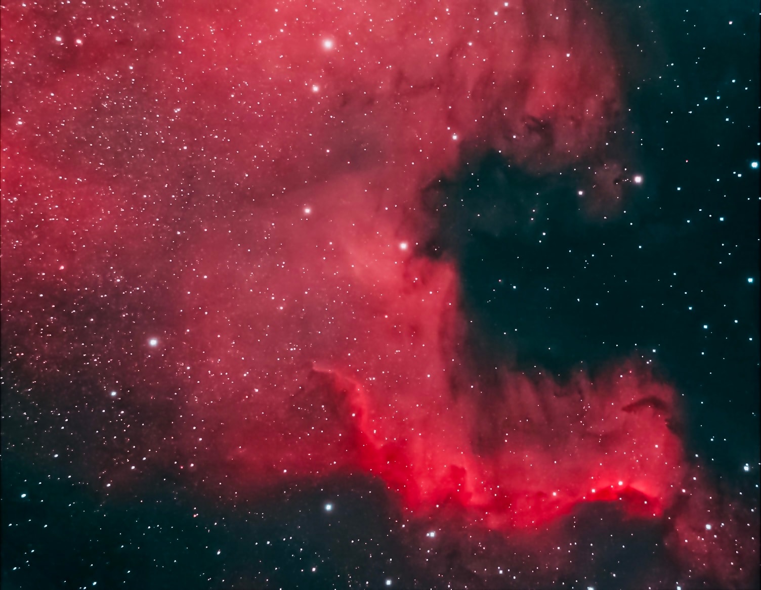 North America Nebula (NGC7000) - Astrophotography by Maple Valley Observatory